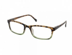 Eyelead Unisex Γυαλιά Διαβάσματος Ταρταρούγα – Πράσινο με Κοκκάλινο Σκελετό E165 – 2,75